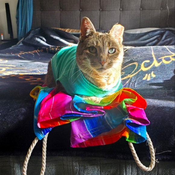 Meet your Posher, Emily - Picture 2 of 5